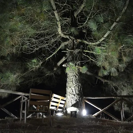 Holiday home - Casa Le Tore Blu